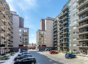 Thumbnail 49 of 72 - A sunny day in a residential area with cars parked on the street and apartment buildings on either side.