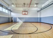 Thumbnail 26 of 29 - Indoor Basketball Court at 66 Main, New York, 10701