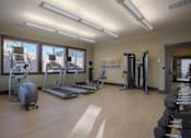 Thumbnail 5 of 18 - A gym with treadmills, elliptical machines, and dumbbells. at Mill Creek Meadows Apartments, Mill Creek, WA
