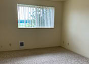 Thumbnail 13 of 16 - A room with a window and a carpet on the floor.
