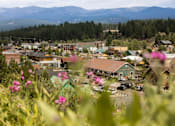 Thumbnail 15 of 42 - A small town with mountains in the background and a field of flowers in the foreground.