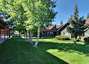 Thumbnail 3 of 42 - A house with a green lawn and trees in front.