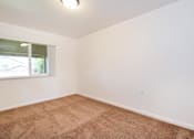 Thumbnail 35 of 35 - A room with a carpeted floor and a window.
