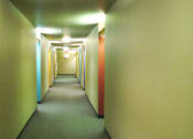Thumbnail 24 of 30 - A long hallway with a carpeted floor and walls painted in yellow and orange.