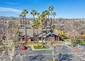 Thumbnail 10 of 16 - A residential area with houses and palm trees.