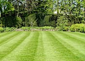 Thumbnail 5 of 30 - A well-manicured lawn leads to a row of trees.