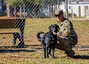 Thumbnail 35 of 74 - A man in military uniform sits on the ground with his black dog.