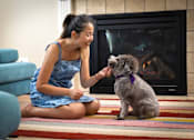 Thumbnail 14 of 37 - A woman in a blue dress is sitting on the floor petting a dog in front of a fireplace.