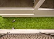 Thumbnail 4 of 30 - A person is sitting on the grass under a bridge.