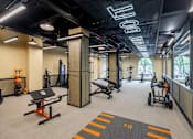 Thumbnail 5 of 25 - A gym with a variety of equipment including a squat rack, bench press, and a rowing machine.