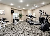 Thumbnail 18 of 61 - A spacious gym with a variety of equipment including treadmills, elliptical machines, and weight benches. at Tranquility Pointe, Omaha, Nebraska