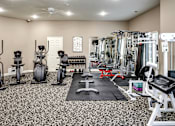 Thumbnail 17 of 61 - A well-equipped gym with a variety of exercise machines. at Tranquility Pointe, Omaha
