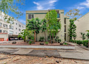 Thumbnail 16 of 17 - A building with a green tree in front of it.