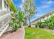 Thumbnail 17 of 29 - A sunny day at a residential area with apartment buildings and greenery.