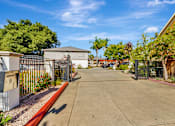 Thumbnail 30 of 52 - A street view of a residential area with houses and trees.