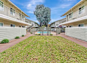 Thumbnail 19 of 29 - A grassy area in front of apartment buildings.