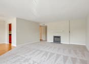 Thumbnail 28 of 37 - A large, empty room with a fireplace and a rug on the floor.