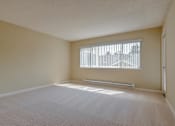Thumbnail 24 of 33 - an empty room with a large window