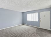 Thumbnail 31 of 55 - A room with a carpeted floor and a white door.