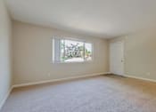 Thumbnail 20 of 34 - Empty room with a window and carpeted floor.