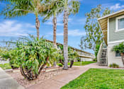 Thumbnail 16 of 29 - A building with a staircase leading to the entrance is surrounded by palm trees.