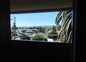 Thumbnail 6 of 14 - A view from a window looking out at a residential street.