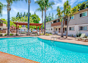 Thumbnail 24 of 25 - A swimming pool surrounded by palm trees and lounge chairs.