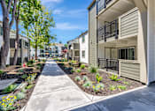 Thumbnail 40 of 41 - A row of modern townhouses with a sidewalk and landscaping.