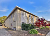 Thumbnail 16 of 17 - A building with a red tree in front of it.