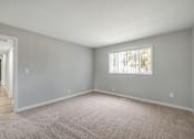 Thumbnail 39 of 40 - A room with a carpeted floor and a window with blinds.