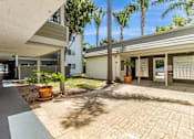 Thumbnail 21 of 43 - A modern house with a driveway and a palm tree.