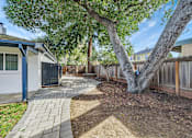 Thumbnail 8 of 21 - A tree with a blue tag on it is in a backyard.