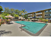 Thumbnail 4 of 37 - Invigorating Swimming Pool at Aviana, Mountain View, CA