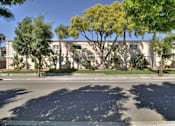 Thumbnail 2 of 33 - A tree in front of a building.