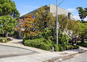 Thumbnail 40 of 92 - A tree with orange leaves is in front of a building.