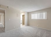 Thumbnail 47 of 51 - A room with a carpeted floor and a window with blinds.