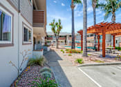 Thumbnail 20 of 25 - A sunny day at a residential area with a building, palm trees, and a parking lot.