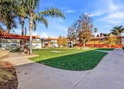 Thumbnail 45 of 67 - A residential area with houses and palm trees.