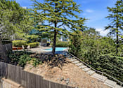 Thumbnail 64 of 92 - A backyard with a pool and a tree.