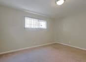 Thumbnail 24 of 37 - A room with a window and a carpeted floor.