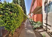 Thumbnail 22 of 27 - Courtyard View at Californian, Mountain View, California