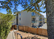 Thumbnail 63 of 92 - A tree stands in front of a grey building with a balcony.