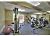 Thumbnail 32 of 37 - Fitness Center Strength and Conditioning Equipment at Aviana, Mountain View, California