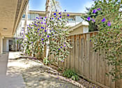 Thumbnail 5 of 27 - A residential area with a wooden fence and purple flowers.