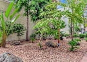 Thumbnail 12 of 17 - A garden with a variety of plants and rocks in front of a building.