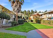 Thumbnail 5 of 33 - A sunny day at a residential area with apartment buildings and a palm tree.