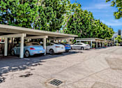 Thumbnail 30 of 41 - A parking lot with cars parked under a canopy.