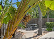 Thumbnail 4 of 37 - A patio with a table and chairs is surrounded by a wooden fence and a banana tree.