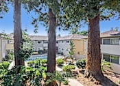 Thumbnail 5 of 37 - A tree in a yard is taller than the house behind it.