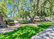 Thumbnail 25 of 41 - A tree-lined street with a sidewalk and a small garden area.